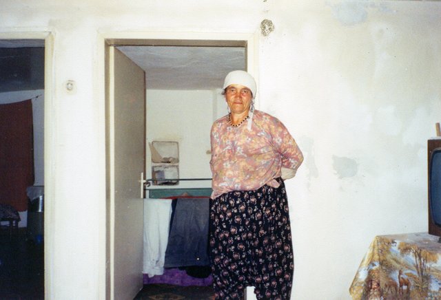 Scan0032d.jpg